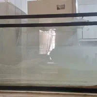 آکواریوم اندازه ۱۰۰ در ۶۰