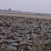 5-هکتاری-با-چاه-اب-با-سام-بزرگ