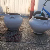 گلدان بزرگ سفالی|گل و گیاه طبیعی|ماهدشت, |دیوار