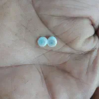 نگین چهرومهر نامزدی|کلکسیون اشیاء عتیقه|توکهور, |دیوار