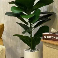 تدریس خصوصی