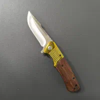 چاقوهای وارداتی اورجینال طبیعت گردی|کوهنوردی و کمپینگ|سبزوار, قاضی زاد|دیوار