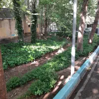 کرایه منزل ویلایی ۳۰۰ میلیون رهن و ۲۴ میلیون اجاره