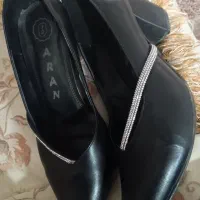 کفش نو نو|کیف، کفش، کمربند|قم, پردیسان|دیوار