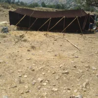 بهون .سیاه چادر