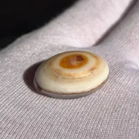 نگین انگشتر حمیدیه|جواهرات|اهواز, کمپلو شمالی|دیوار