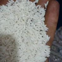 برنج علی کاظمی چغلوندی کاسیان|خوردنی و آشامیدنی|بیرانوند, |دیوار