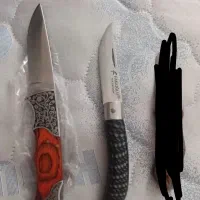 کلکسیون