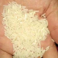 برنج طارم هاشمی