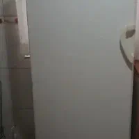 فلیزر پارس