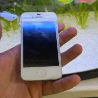 آیفون ۴ سفید ویترینی|موبایل|سنندج, |دیوار