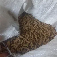 دان و خوراک پرنده