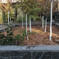 باغ بانی حرص کاری قاچ کشی|خدمات باغبانی و درختکاری|دماوند, دماوند|دیوار