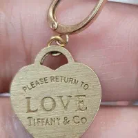 گوشواره طلا گمشده