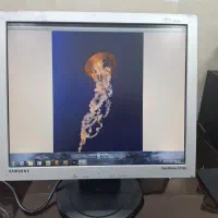 مانیتور مخصوص دوربین مداربسته|قطعات و لوازم جانبی رایانه|سلماس, |دیوار