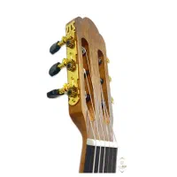 گیتار پالادو CG90