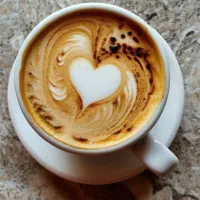 محصولات شرکت نیوشا