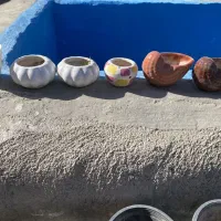 گلدون|گل و گیاه طبیعی|چهارباغ, |دیوار