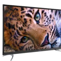 تلویزیون  43 اینچ|تلویزیون و پروژکتور|زنجان, |دیوار