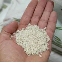 برنج عنبر بو تولکی اصل گلالک