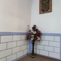 گل وگلدان گل وگلدان