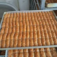 راننده باهرماشین حتی پیکان ماهی۴۰تمن برا شهرستان|استخدام حمل و نقل|تهران, نیلوفر|دیوار