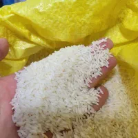 برنج عنبربوه ایرانی