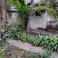 مشارکت در ساخت کوی گلشن