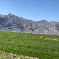 زمین کشاورزی اجاره ای ابرج با چاه آب و برق