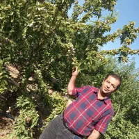 فروش انواع نهال های اصلاح شده وپربارودیرگل تضمینی