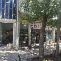 ۴۵ متر تجاری دائم