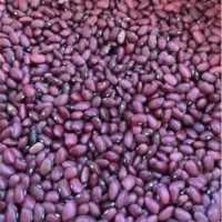 لوبیا قرمز