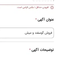 فروش گوسفند و میش