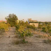 زمین باغ 200 متر سند تک برگ دماوندجابان آب برق گاز|فروش زمین و ملک کلنگی|دماوند, دماوند|دیوار