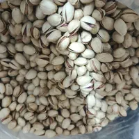 پسته شمارا به بالاترین قیمت خریداریم|خدمات باغبانی و درختکاری|تربت جام, یحیی آباد|دیوار