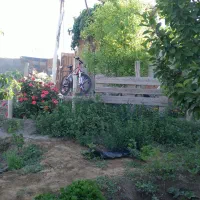 فروشی باغچه نقلی چهاردیواری فلاورجان