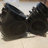 فن حلزونی