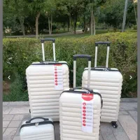 چمدان ۳تیکه|کیف، کفش، کمربند|همدان, |دیوار