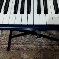 kore p800|پیانو، کیبورد، آکاردئون|مبارکه, |دیوار