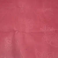 موکت سالم سالم