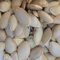 کدو گوشتی لوکس سایز ده و یازده|عمده‌فروشی|شیراز, اکبر آباد|دیوار