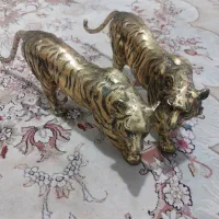 فروش ۲ عدد ببر به وزن ده کیلو