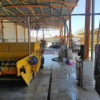 قالیشویی باهنرزرهی سراج پاییزوالفجرفرزانگان طلاییه|خدمات نظافت|شیراز, شهرک فرهنگیان|دیوار