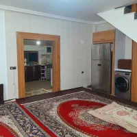 اجاره ویلا باغ دوبلکس ۳۰۰ متری یک جای دنج شهر نور|اجارهٔ خانه و ویلا|نور, |دیوار