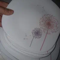 دو سرویس اوپال ۳۰۰۰۰۰۰میلیون تومان
