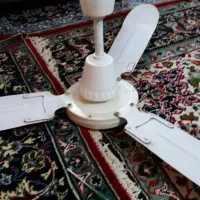 پنکه سقفی به فروش می‌رسد