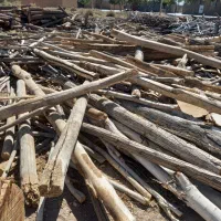 خرید چوب|خدمات باغبانی و درختکاری|آباده, |دیوار