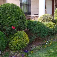 مشاوره،طراحی،اجرا ونگهداری