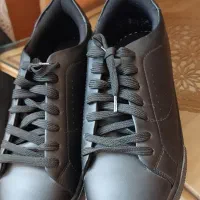 کفش|کیف، کفش، کمربند|کاشمر, |دیوار