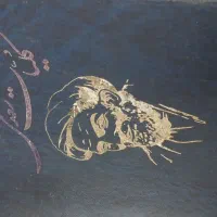 کتاب|کتاب و مجله ادبی|بروجرد, |دیوار